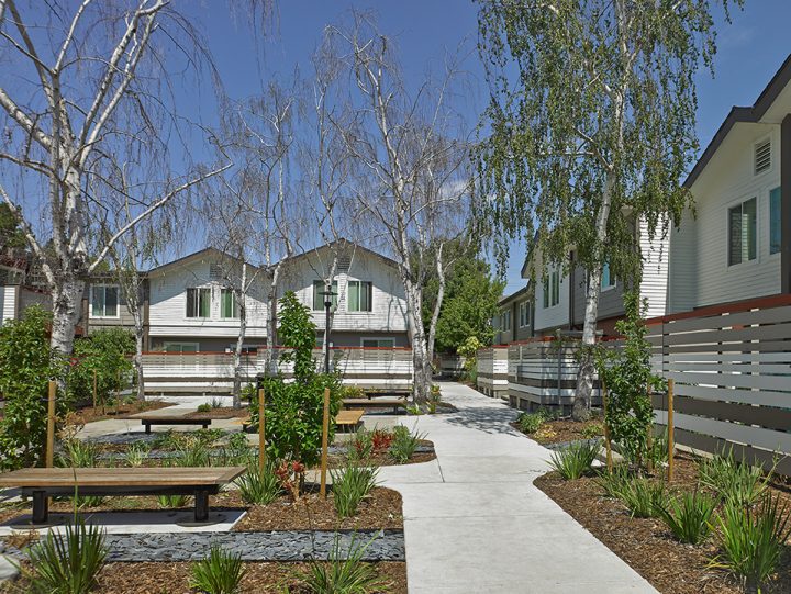 VMWP-Colorado_Park_Redesign-Renovation-Affordable_Housing-courtyard