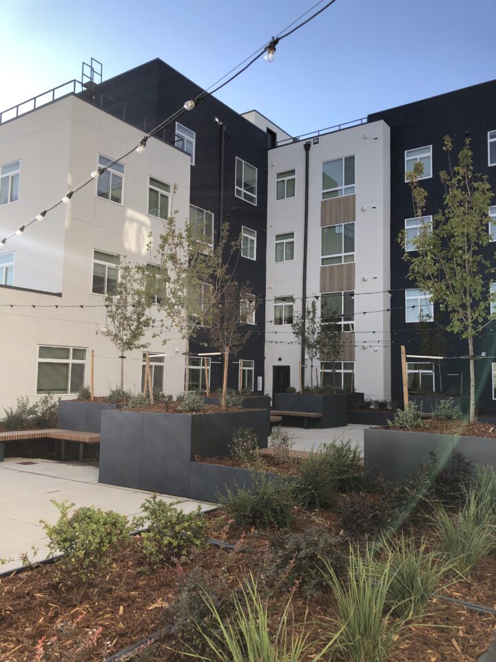 mixed-use housing the rose on colfax courtyard landscaping