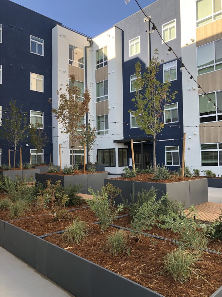 mixed-use housing the rose on colfax courtyard planting