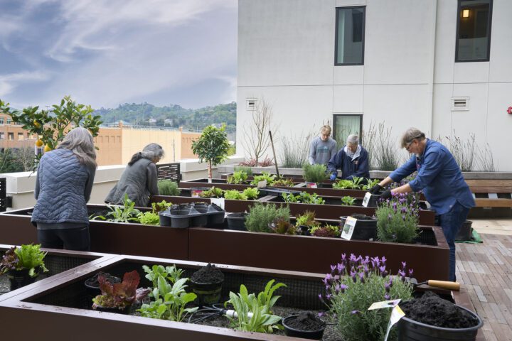VMWP-Vivalon-affordable_housing-senior_housing-planters — Photography: Ken Gutmaker